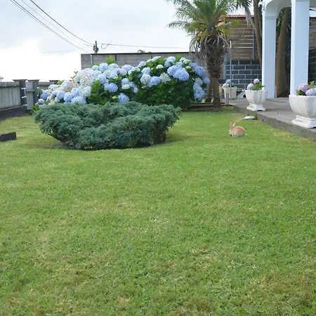 Casinha Hortensias Horta (Azores)