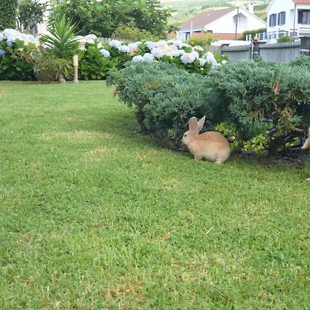 شقة Casinha Hortensias أورتا