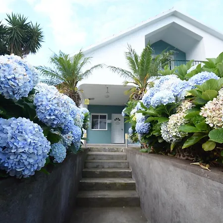 Casinha Hortensias شقة أورتا