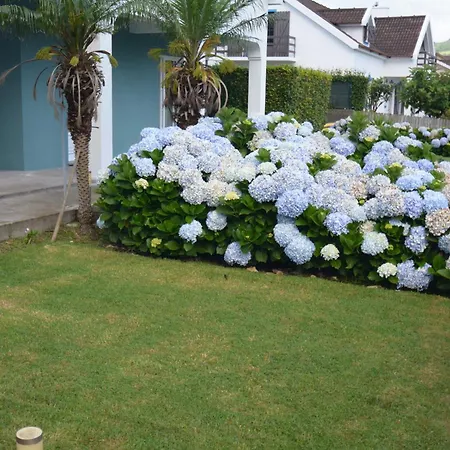 Casinha Hortensias Daire Horta (Azores)