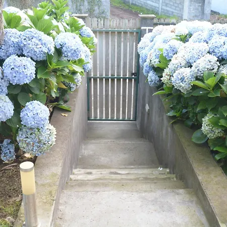Casinha Das Hortensias *
