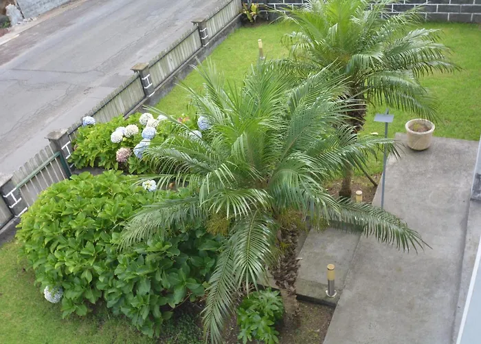 Casinha Hortensias Apartamento Horta (Azores)