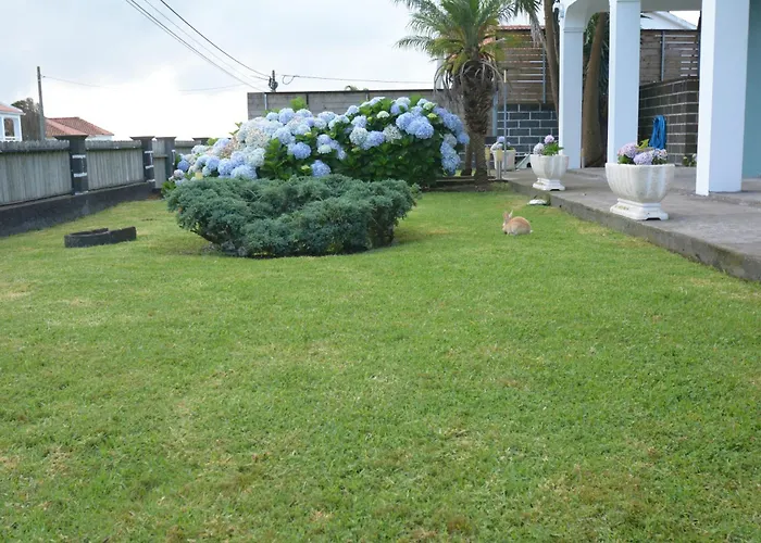 Casinha Hortensias Horta (Azores)