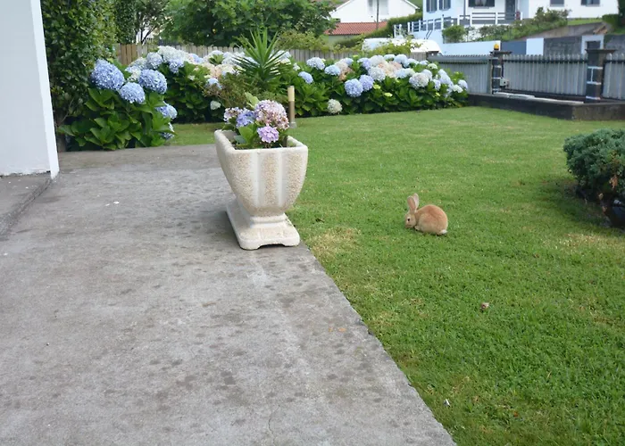 Casinha Hortensias Apartamento