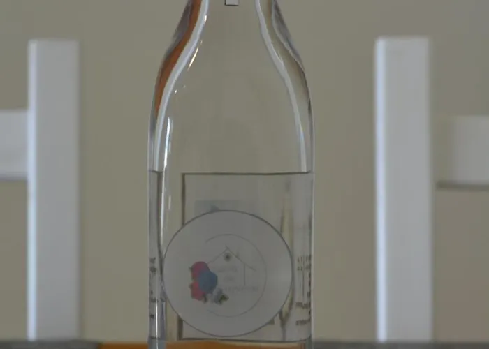 Apartamento Casinha Hortensias