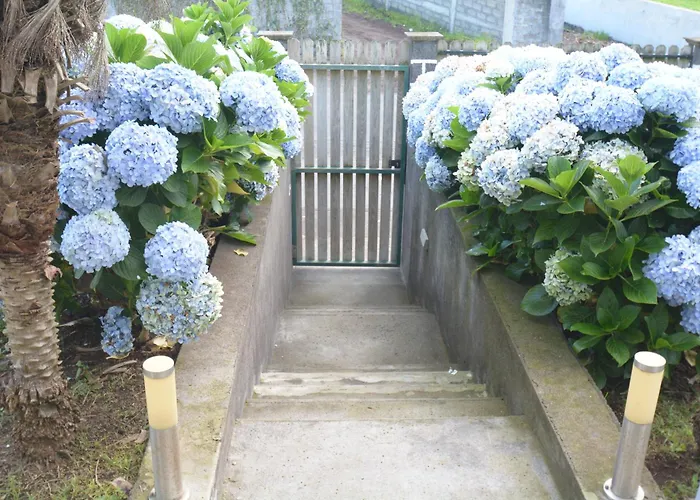 Casinha Hortensias *